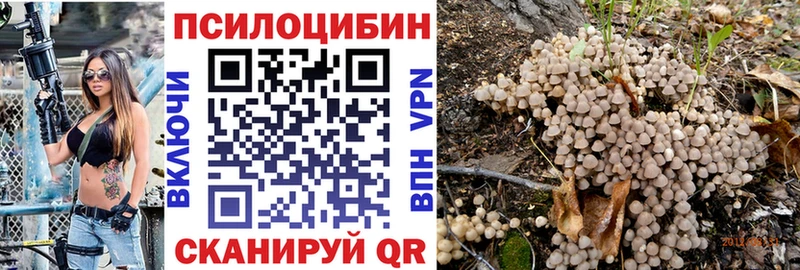 наркота Кыштым hydra как войти Псилоцибиновые грибы Psilocybe